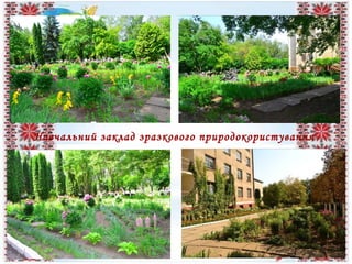 Навчальний заклад зразкового природокористування
 