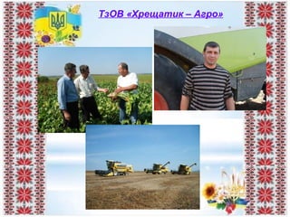 ТзОВ «Хрещатик – Агро»
 