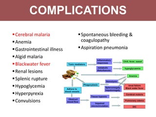 COMPLICATIONS
Cerebral malaria
Anemia
Gastrointestinal illness
Algid malaria
Blackwater fever
Renal lesions
Splenic rupture
Hypoglycemia
Hyperpyrexia
Convulsions
Spontaneous bleeding &
coagulopathy
Aspiration pneumonia
COMPLICATIONS
 