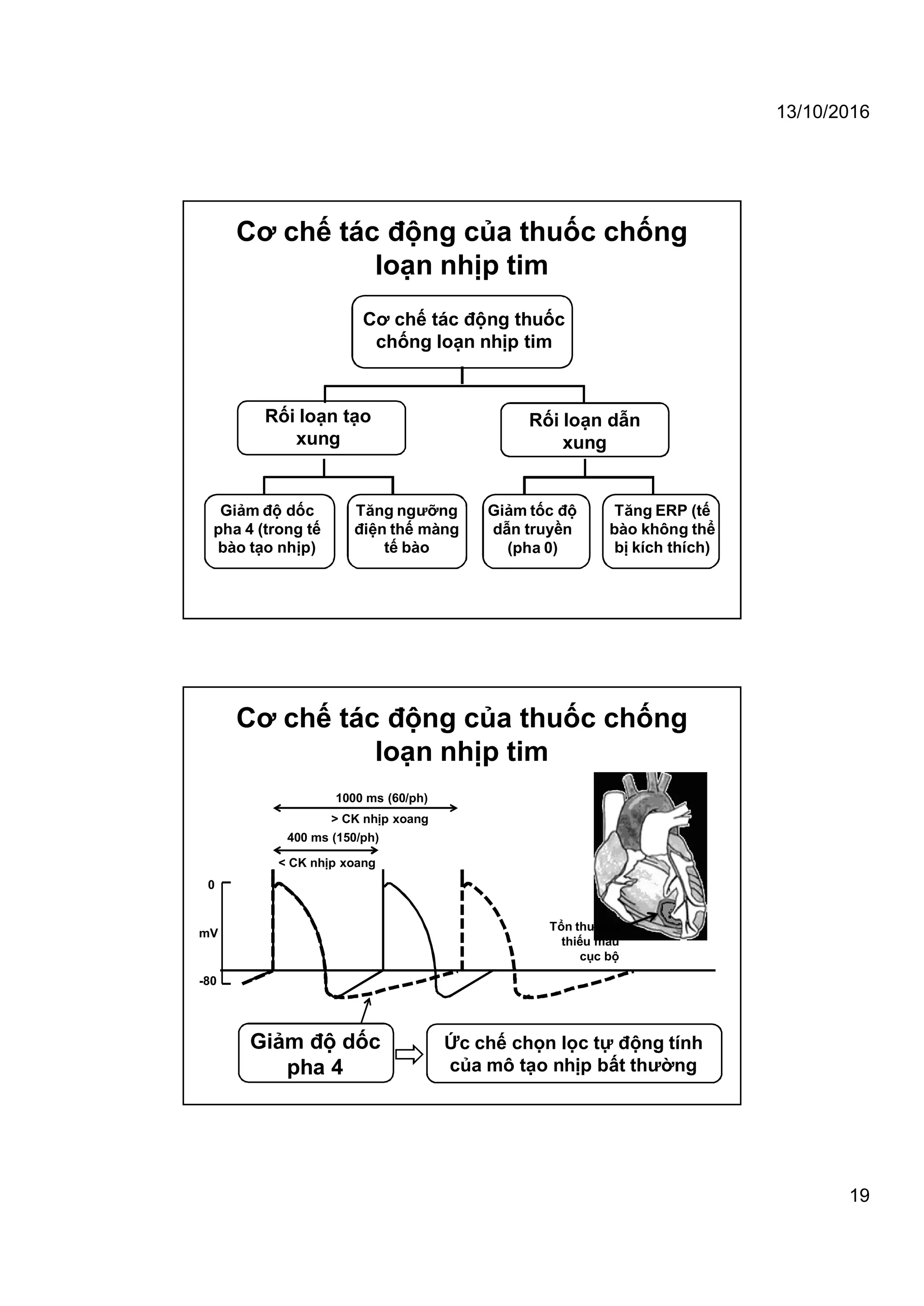 13/10/2016
19
Cơ chế tác động của thuốc chống
loạn nhịp tim
Cơ chế tác động thuốc
chống loạn nhịp tim
Rối loạn tạo
xung
Rối loạn dẫn
xung
Giảm tốc độ
dẫn truyền
(pha 0)
Tăng ERP (tế
bào không thể
bị kích thích)
Giảm độ dốc
pha 4 (trong tế
bào tạo nhịp)
Tăng ngưỡng
điện thế màng
tế bào
Cơ chế tác động của thuốc chống
loạn nhịp tim
< CK nhịp xoang
400 ms (150/ph)
> CK nhịp xoang
1000 ms (60/ph)
0
-80
mV
Giảm độ dốc
pha 4
Ức chế chọn lọc tự động tính
của mô tạo nhịp bất thường
Tổn thương
thiếu máu
cục bộ
 