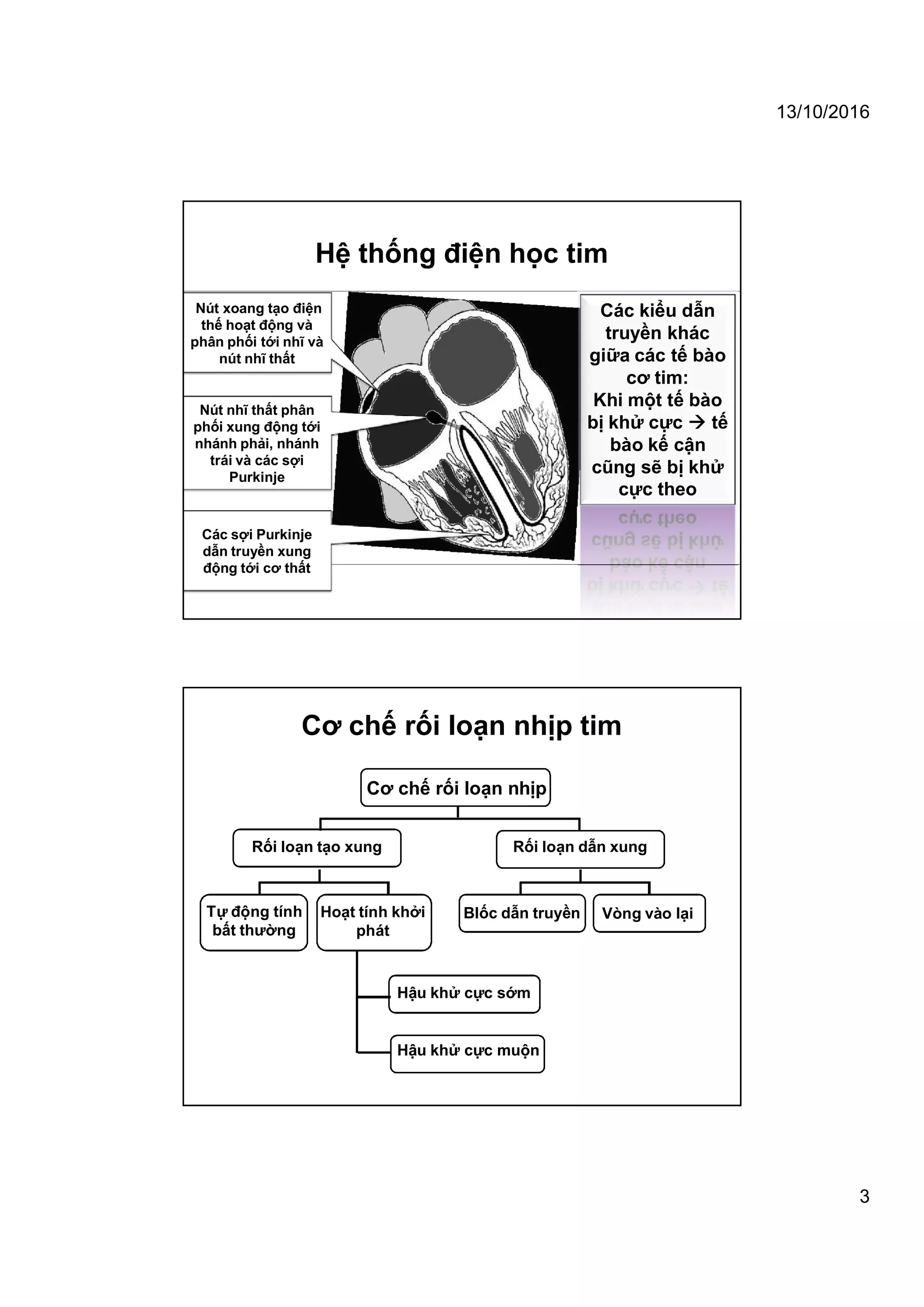 13/10/2016
3
Hệ thống điện học tim
Nút xoang tạo điện
thế hoạt động và
phân phối tới nhĩ và
nút nhĩ thất
Nút nhĩ thất phân
phối xung động tới
nhánh phải, nhánh
trái và các sợi
Purkinje
Các sợi Purkinje
dẫn truyền xung
động tới cơ thất
Các kiểu dẫn
truyền khác
giữa các tế bào
cơ tim:
Khi một tế bào
bị khử cực  tế
bào kế cận
cũng sẽ bị khử
cực theo
Cơ chế rối loạn nhịp tim
Cơ chế rối loạn nhịp
Rối loạn tạo xung Rối loạn dẫn xung
Blốc dẫn truyền Vòng vào lạiTự động tính
bất thường
Hoạt tính khởi
phát
Hậu khử cực sớm
Hậu khử cực muộn
 