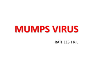 MUMPS VIRUS
RATHEESH R.L
 