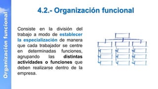 4.2.- Organización funcional
Organización
funcional
Consiste en la división del
trabajo a modo de establecer
la especialización de manera
que cada trabajador se centre
en determinadas funciones,
agrupando las distintas
actividades o funciones que
deben realizarse dentro de la
empresa.
 
