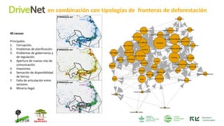 DRIVENET: What drives deforestation in the Peruvian Amazon? | PDF