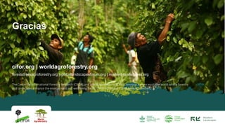 DRIVENET: What drives deforestation in the Peruvian Amazon? | PDF