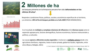DRIVENET: What drives deforestation in the Peruvian Amazon? | PDF