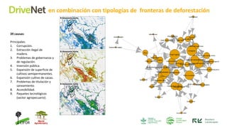 DRIVENET: What drives deforestation in the Peruvian Amazon? | PDF