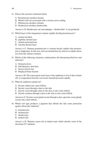 108
12. Choose the incorrect statement below.
A. Keratinocytes produce keratin
B. Merkel cells are associated with a sensory nerve ending.
C. Melanocytes produce melanin
D. Dendrocytes produce dendrocidin.
Answer is D: Dendrocytes are macrophages, “dendrocidin” is not produced.
13. Which layer of the integument contains rapidly dividing keratinocytes?
A. stratum lucidum
B. papillary dermal layer
C. stratum germinativum
D. reticular dermal layer
Answer is C: Stratum germinativum (= stratum basale) implies that germina-
tion is happening. In fact new cells are formed here by mitosis to replace those
lost from the stratum corneum.
14. Which of the following situations could produce life threatening fluid loss and
infection?
A. Stomach ulcers
B. Full thickness skin burn
C. Severe muscle tear
D. Displaced bone fracture
Answer is B: The water-proof outer layer of the epidermis is lost if skin is burnt
off, so evaporation from the wet tissues beneath proceeds rapidly.
15. What do sudiferous glands do?
A. Secrete sebum into a hair follicle
B. Secrete sweat through a duct to the skin
C. Secrete sweat through a duct to the skin or into a hair follicle
D. Secrete cerumen through a duct to the skin or into a hair follicle
Answer is C: Eccrine sweat gland secrete through a duct, apocrine sweat glands
secrete into a hair follicle.
16. Which cell type produces a pigment that affords the skin some protection
against ultraviolet radiation?
A. keratinocytes
B. melanocytes
C. dendrocytes
D. merkel cells
Answer is B: Melanin causes kin to darken (tan) which absorbs some of the
incoming UV radiation.
5 Integument
ERRNVPHGLFRVRUJ
 
