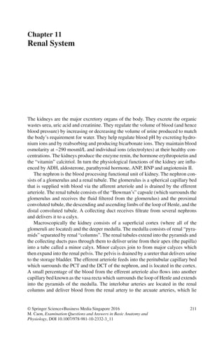 211
© Springer Science+Business Media Singapore 2016
M. Caon, Examination Questions and Answers in Basic Anatomy and
Physiology, DOI 10.1007/978-981-10-2332-3_11
Chapter 11
Renal System
The kidneys are the major excretory organs of the body. They excrete the organic
wastes urea, uric acid and creatinine. They regulate the volume of blood (and hence
blood pressure) by increasing or decreasing the volume of urine produced to match
the body’s requirement for water. They help regulate blood pH by excreting hydro-
nium ions and by reabsorbing and producing bicarbonate ions. They maintain blood
osmolarity at ~290 mosml/L and individual ions (electrolytes) at their healthy con-
centrations. The kidneys produce the enzyme renin, the hormone erythropoietin and
the “vitamin” calcitriol. In turn the physiological functions of the kidney are influ-
enced by ADH, aldosterone, parathyroid hormone, ANP, BNP and angiotensin II.
The nephron is the blood processing functional unit of kidney. The nephron con-
sists of a glomerulus and a renal tubule. The glomerulus is a spherical capillary bed
that is supplied with blood via the afferent arteriole and is drained by the efferent
arteriole. The renal tubule consists of the “Bowman’s” capsule (which surrounds the
glomerulus and receives the fluid filtered from the glomerulus) and the proximal
convoluted tubule, the descending and ascending limbs of the loop of Henle, and the
distal convoluted tubule. A collecting duct receives filtrate from several nephrons
and delivers it to a calyx.
Macroscopically the kidney consists of a superficial cortex (where all of the
glomeruli are located) and the deeper medulla. The medulla consists of renal “pyra-
mids” separated by renal “columns”. The renal tubules extend into the pyramids and
the collecting ducts pass through them to deliver urine from their apex (the papilla)
into a tube called a minor calyx. Minor calyces join to from major calyces which
then expand into the renal pelvis. The pelvis is drained by a ureter that delivers urine
to the storage bladder. The efferent arteriole feeds into the peritubular capillary bed
which surrounds the PCT and the DCT of the nephron, and is located in the cortex.
A small percentage of the blood from the efferent arteriole also flows into another
capillary bed known as the vasa recta which surrounds the loop of Henle and extends
into the pyramids of the medulla. The interlobar arteries are located in the renal
columns and deliver blood from the renal artery to the arcuate arteries, which lie
ERRNVPHGLFRVRUJ
 