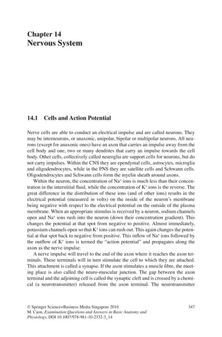 347
© Springer Science+Business Media Singapore 2016
M. Caon, Examination Questions and Answers in Basic Anatomy and
Physiology, DOI 10.1007/978-981-10-2332-3_14
Chapter 14
Nervous System
14.1 Cells and Action Potential
Nerve cells are able to conduct an electrical impulse and are called neurons. They
may be interneurons, or anaxonic, unipolar, bipolar or multipolar neurons. All neu-
rons (except for anaxonic ones) have an axon that carries an impulse away from the
cell body and one, two or many dendrites that carry an impulse towards the cell
body. Other cells, collectively called neuroglia are support cells for neurons, but do
not carry impulses. Within the CNS they are ependymal cells, astrocytes, microglia
and oligodendrocytes, while in the PNS they are satellite cells and Schwann cells.
Oligodendrocytes and Schwann cells form the myelin sheath around axons.
Within the neuron, the concentration of Na+
ions is much less than their concen-
tration in the interstitial ﬂuid, while the concentration of K+
ions is the reverse. The
great difference in the distribution of these ions (and of other ions) results in the
electrical potential (measured in volts) on the inside of the neuron’s membrane
being negative with respect to the electrical potential on the outside of the plasma
membrane. When an appropriate stimulus is received by a neuron, sodium channels
open and Na+
ions rush into the neuron (down their concentration gradient). This
changes the potential at that spot from negative to positive. Almost immediately,
potassium channels open so that K+
ions can rush out. This again changes the poten-
tial at that spot back to negative from positive. This inﬂow of Na+
ions followed by
the outﬂow of K+
ions is termed the “action potential” and propagates along the
axon as the nerve impulse.
A nerve impulse will travel to the end of the axon where it reaches the axon ter-
minals. These terminals will in turn stimulate the cell to which they are attached.
This attachment is called a synapse. If the axon stimulates a muscle ﬁbre, the meet-
ing place is also called the neuro-muscular junction. The gap between the axon
terminal and the adjoining cell is called the synaptic cleft and is crossed by a chemi-
cal (a neurotransmitter) released from the axon terminal. The neurotransmitter
ERRNVPHGLFRVRUJ
 