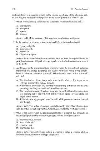 348
molecule binds to a receptor protein on the plasma membrane of the adjoining cell.
In this way, the neurotransmitter passes on the action potential to the next cell.
1. Which word correctly completes the statement: “All motor neurons are…”
A. interneurons
B. multipolar
C. bipolar
D. unipolar
Answer is B: Motor neurones (that innervate muscles) are multipolar.
2. In the peripheral nervous system, which cells form the myelin sheath?
A. Ependymal cells
B. Schwann cells
C. Astrocytes
D. Oligodendrocytes
Answer is B: Schwann cells surround the axon to form the myelin sheath in
peripheral neurones. Oligodendrocytes perform a similar function for neurones
in the CNS.
3. A difference in the amount and type of ions between the two sides of a plasma
membrane or a charge difference that occurs when ions move along a mem-
brane is called an “electrical potential”. What does the term “action potential”
refer to?
A. The distribution of ions that results in the inside of the cell being at about
−70 mV compared to outside the cell.
B. A movement of sodium ions into the cell following a stimulus and the ions
spreading out along the inside of the cell membrane.
C. The rapid movement of sodium ions into the cell followed by potassium
ions moving out of the cell, with the movement being repeated along the
length of the neuron.
D. Sodium ions being pumped out of the cell, while potassium ions are moved
into the cell.
Answer is C: The inﬂux of sodium ions followed by the efﬂux of potassium
ions describes the action potential. Choice A describes the “resting potential”.
4. What is the gap between the plasma membranes of a neuron that conducts an
incoming signal and the cell that is going to receive the signal called?
A. neuromuscular junction
B. intercellular cleft
C. synaptic cleft
D. intercalated disc
Answer is C: The gap between cells at a synapse is called a synaptic cleft. A
neuromuscular junction is one type of synapse.
14 Nervous System
ERRNVPHGLFRVRUJ
 