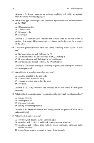 356
Answer is D: Sensory neurons are unipolar. And their cell bodies are outside
the CNS in the dorsal root ganglia.
39. What is the type of neuroglia that forms the myelin sheath on neurons outside
of the CNS?
A. Oligodendrocytes
B. Satellite cells
C. Schwann cells
D. Microglia
Answer is C: Schwann cells surround the axon to form the myelin sheath in
peripheral neurones. Oligodendrocytes perform a similar function for neurones
in the CNS.
40. The action potential occurs when one of the following events occurs. Which
one?
A. Na+
rushes into the cell followed by Cl−
B. Na+
rushes out of the cell followed by PO4
3−
rushing in
C. K+
rushes into the cell followed by Na+
rushing out
D. Na+
rushes into the cell followed by K+
rushing out
Answer is D: Sodium rushing in following by potassium rushing out produces
the action potential.
41. A multipolar neuron has more than one what?
A. dendrite attached to the cell body
B. axon attached to the cell body
C. synaptic terminal attached to the axon
D. cell body
Answer is A: Many dendrites are attached to the cell body of multipolar
neurones.
42. What is the depolarisation and repolarisation of a nerve cell membrane called?
A. graded potential
B. action potential
C. threshold potential
D. resting membrane potential
Answer is B: Depolarisation of the resting membrane potential leads to an
action potential.
43. Which best describes a nerve?
A. dendrites, cell bodies, axons, Schwann cells
B. dendrites, cell bodies, axon hillock, axon terminals, vesicles
C. dendrites, cell bodies, axon hillock, axon terminals, Schwann cells,
neurotransmitters
D. axons, blood vessels, connective tissue, Schwann cells
14 Nervous System
ERRNVPHGLFRVRUJ
 