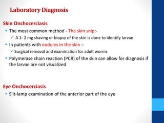 24. Nematode - Onchocerca volvulus.pdf slides | PDF