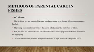 24. Parental care in fishes.........pptx