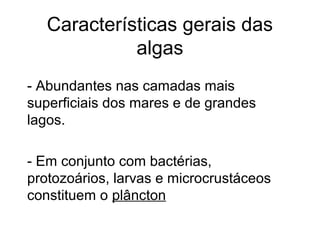 Características gerais das
algas
- Abundantes nas camadas mais
superficiais dos mares e de grandes
lagos.
- Em conjunto com bactérias,
protozoários, larvas e microcrustáceos
constituem o plâncton
 