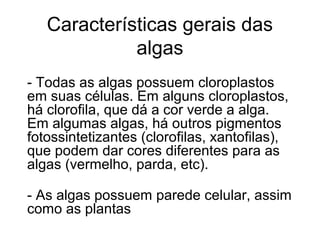 Características gerais das
algas
- Todas as algas possuem cloroplastos
em suas células. Em alguns cloroplastos,
há clorofila, que dá a cor verde a alga.
Em algumas algas, há outros pigmentos
fotossintetizantes (clorofilas, xantofilas),
que podem dar cores diferentes para as
algas (vermelho, parda, etc).
- As algas possuem parede celular, assim
como as plantas
 