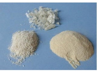 Biologia: Nutrição das bactérias