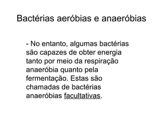Bactérias aeróbias e anaeróbias
- No entanto, algumas bactérias
são capazes de obter energia
tanto por meio da respiração
anaeróbia quanto pela
fermentação. Estas são
chamadas de bactérias
anaeróbias facultativas.
 