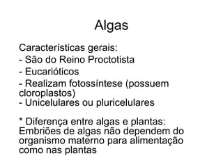 Algas
Características gerais:
- São do Reino Proctotista
- Eucarióticos
- Realizam fotossíntese (possuem
cloroplastos)
- Unicelulares ou pluricelulares
* Diferença entre algas e plantas:
Embriões de algas não dependem do
organismo materno para alimentação
como nas plantas
 
