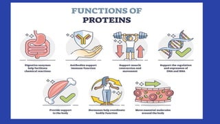 Comprehensive Overview of Biomolecules: Structure, Types, and Functions ...