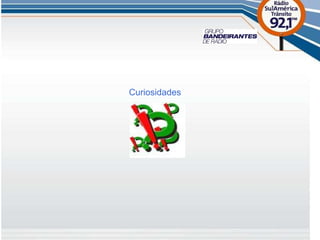 Curiosidades 