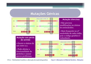 Mutações Génicas
                                                                                Mutação silenciosa
                                                                           • Não provoca
                                                                           modificações na síntese
                                                                           de aminoácidos.
                                                                           • Mais frequente no 3º
                                                                           nucleótido de cada codão,
                                                                           pois o código genético é
             Mutação com perda                                             redundante.
                 de sentido
             • Ocorre a síntese de
             um outro a.a.
             • Pode afectar a
             funcionalidade da
             proteína e causar
             graves problemas.
UN.2 – Património Genético e alteração do material genético   Cap.2.1. Alterações do Material Genético - Mutações
 