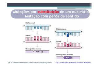 Mutações por substituição de um nucleótido
            Mutação com perda de sentido




UN.2 – Património Genético e alteração do material genético   Cap.2.1. Alterações do Material Genético - Mutações
 