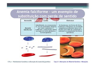 Anemia falciforme – um exemplo de
             substituição com perda de sentido




UN.2 – Património Genético e alteração do material genético   Cap.2.1. Alterações do Material Genético - Mutações
 