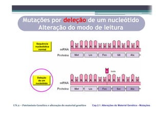 Mutações por deleção de um nucleótido
           Alteração do modo de leitura

                  Sequência
                 nucleotídica
                   normal




                   Deleção
                    de um
                  nucleótido




UN.2 – Património Genético e alteração do material genético   Cap.2.1. Alterações do Material Genético - Mutações
 
