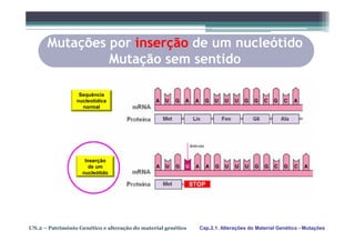 Mutações por inserção de um nucleótido
               Mutação sem sentido

                  Sequência
                 nucleotídica
                   normal




                     Inserção
                       de um
                    nucleótido




UN.2 – Património Genético e alteração do material genético   Cap.2.1. Alterações do Material Genético - Mutações
 