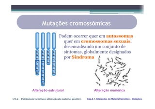 Mutações cromossómicas

                                       Podem ocorrer quer em autossomas
                                         quer em cromossomas sexuais,
                                         desencadeando um conjunto de
                                         sintomas, globalmente designados
                                         por Sindroma.




                 Alteração estrutural                               Alteração numérica

UN.2 – Património Genético e alteração do material genético   Cap.2.1. Alterações do Material Genético - Mutações
 