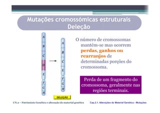 Mutações cromossómicas estruturais
                        Deleção

                                                    O número de cromossomas
                                                      mantém-se mas ocorrem
                                                      perdas, ganhos ou
                                                      rearranjos de
                                                      determinadas porções do
                                                      cromossoma.

                                                         Perda de um fragmento do
                                                        cromossoma, geralmente nas
                                                             regiões terminais.
                                    DELEÇÃO

UN.2 – Património Genético e alteração do material genético   Cap.2.1. Alterações do Material Genético - Mutações
 