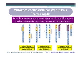 Mutações cromossómicas estruturais
                      Translocação
         Troca de um segmento entre cromossomas não homólogos, que
           afectam a expressão dos genes com graves consequências.




                         TRANSLOCAÇÃO                TRANSLOCAÇÃO                    TRANSLOCAÇÃO
                      INTRACROMOSSÓMICA           INTERCROMOSSÓMICA               INTERCROMOSSÓMICA
                         NÃO RECÍPROCA               NÃO RECÍPROCA                     RECÍPROCA

UN.2 – Património Genético e alteração do material genético   Cap.2.1. Alterações do Material Genético - Mutações
 