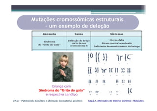 Mutações cromossómicas estruturais
                    – um exemplo de deleção




                              Criança com
                      Sindroma do “Grito do gato”
                          e respectivo cariótipo
UN.2 – Património Genético e alteração do material genético   Cap.2.1. Alterações do Material Genético - Mutações
 