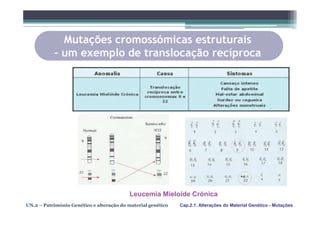 Mutações cromossómicas estruturais
           – um exemplo de translocação recíproca




                                           Leucemia Mieloíde Crónica
UN.2 – Património Genético e alteração do material genético   Cap.2.1. Alterações do Material Genético - Mutações
 