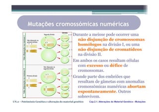 Mutações cromossómicas numéricas
                                                  Durante a meiose pode ocorrer uma
                                                    não disjunção de cromossomas
                                                    homólogos na divisão I, ou uma
                                                    não disjunção de cromatídeos
                                                    na divisão II.
                                                  Em ambos os casos resultam células
                                                    com excesso ou défice de
                                                    cromossomas.
                                                  Grande parte dos embriões que
                                                    resultam de gâmetas com anomalias
                                                    cromossómicas numéricas abortam
                                                    espontaneamente. Outros
                                                    sobrevivem.
UN.2 – Património Genético e alteração do material genético   Cap.2.1. Alterações do Material Genético - Mutações
 