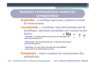 Mutações cromossómicas numéricas
                          (aneuploidias)
                 Euploidia – o cariótipo apresenta o número normal
                   de cromossomas
                 Aneuploidia – o cariótipo, num determinado par de
                   homólogos, apresenta anomalias, por excesso ou por
                   defeito.




                 Poliploidia – todo o conjunto de cromossomas fica
                   multiplicado
UN.2 – Património Genético e alteração do material genético   Cap.2.1. Alterações do Material Genético - Mutações
 