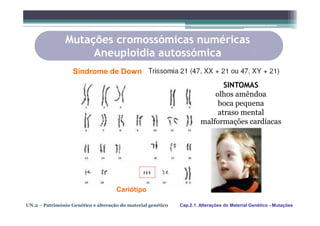 Mutações cromossómicas numéricas
                     Aneuploidia autossómica
                   Síndrome de Down
                                                                              SINTOMAS
                                                                           olhos amêndoa
                                                                            boca pequena
                                                                            atraso mental
                                                                       malformações cardíacas




                                     Cariótipo

UN.2 – Património Genético e alteração do material genético   Cap.2.1. Alterações do Material Genético - Mutações
 