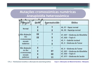Mutações cromossómicas numéricas
                    Aneuploidia heterossómica




UN.2 – Património Genético e alteração do material genético   Cap.2.1. Alterações do Material Genético - Mutações
 