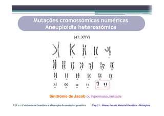 Mutações cromossómicas numéricas
                    Aneuploidia heterossómica




                             Síndrome de Jacob ou hipermasculinidade

UN.2 – Património Genético e alteração do material genético   Cap.2.1. Alterações do Material Genético - Mutações
 