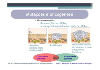 Mutações e oncogénese
                                   • O cancro resulta:
                                     ▫ de alterações nas células;
                                     ▫ de uma proliferação descontrolada de células.




                            Alteração                  Proliferação                     Invasão dos tecidos
                            genética numa                                               circundantes e vasos
                            célula epitelial                                            sanguíneos e
                                                                                        linfáticos
                                     Componente                             Componente
                                     ambiental                cancro        genética

UN.2 – Património Genético e alteração do material genético      Cap.2.1. Alterações do Material Genético - Mutações
 