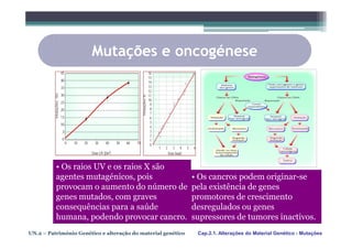Mutações e oncogénese




          • Os raios UV e os raios X são
          agentes mutagénicos, pois                           • Os cancros podem originar-se
          provocam o aumento do número de                     pela existência de genes
          genes mutados, com graves                           promotores de crescimento
          consequências para a saúde                          desregulados ou genes
          humana, podendo provocar cancro.                    supressores de tumores inactivos.
UN.2 – Património Genético e alteração do material genético    Cap.2.1. Alterações do Material Genético - Mutações
 