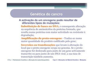 Genética do cancro
                A activação de um oncogene pode resultar de
                  diferentes tipos de mutações:
                  Substituição de bases no DNA, e consequente alteração
                  na sequência de aminoácidos da proteína formada, que
                  resulta numa proteína com maior actividade ou resistente à
                  degradação;
                  Amplificação do proto-oncogene - Traduz-se numa
                  maior quantidade do produto codificado pelo gene;
                  Inversões ou translocações que levam à alteração do
                  local que o proto-oncogene ocupa no genoma. Se o proto-
                  oncogene for deslocado para junto de um gene activamente
                  transcrito ou para junto de um DNA viral, a sua taxa de
                  transcrição também aumenta.
UN.2 – Património Genético e alteração do material genético   Cap.2.1. Alterações do Material Genético - Mutações
 