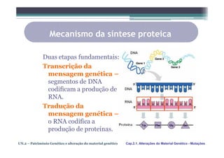 Mecanismo da síntese proteica

              Duas etapas fundamentais:
              Transcrição da
               mensagem genética –
               segmentos de DNA
               codificam a produção de
               RNA.
              Tradução da
               mensagem genética –
               o RNA codifica a
               produção de proteínas.

UN.2 – Património Genético e alteração do material genético   Cap.2.1. Alterações do Material Genético - Mutações
 