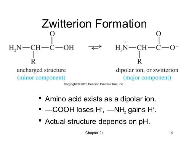 24 amino acids peptides and proteins wade 7th zwitterion form of methionine