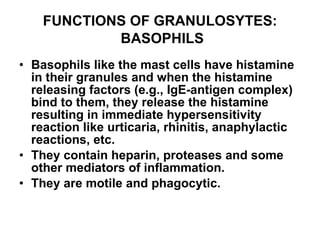 FUNCTIONS OF GRANULOSYTES :   BASOPHILS Basophils like the mast cells have histamine in their granules and when the histamine releasing factors (e.g., IgE-antigen complex) bind to them, they release the histamine resulting in immediate hypersensitivity reaction like urticaria, rhinitis, anaphylactic reactions, etc. They contain heparin, proteases and some other mediators of inflammation. They are motile and phagocytic. 