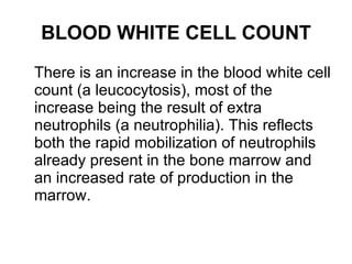 BLOOD WHITE CELL COUNT There is an increase in the blood white cell count (a leucocytosis), most of the increase being the result of extra neutrophils (a neutrophilia). This reflects both the rapid mobilization of neutrophils already present in the bone marrow and an increased rate of production in the marrow. 