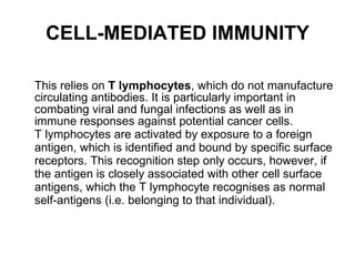 CELL-MEDIATED IMMUNITY This relies on  T lymphocytes , which do not manufacture circulating antibodies. It is particularly important in combating viral and fungal infections as well as in immune responses against potential cancer cells. T lymphocytes are activated by exposure to a foreign antigen, which is identified and bound by specific surface receptors. This recognition step only occurs, however, if the antigen is closely associated with other cell surface antigens, which the T lymphocyte recognises as normal self-antigens (i.e. belonging to that individual).  