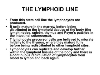 THE LYMPHOID LINE From this stem cell line the lymphocytes are produced. B cells mature in the marrow before being distributed to the lymphoid tissues of the body (the lymph nodes, spleen, thymus and Peyer's patches in the intestinal submucosa). T lymphocyte precursor cells are believed to migrate initially to the thymus, where they mature fully before being redistributed to other lymphoid sites.  Lymphocytes can replicate and develop further within the lymphoid tissues of the body and there is a continuous recirculation of lymphocytes from blood to lymph and back again. 