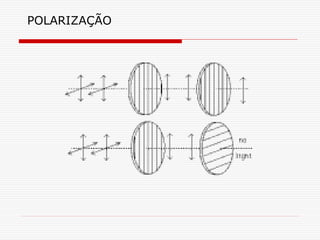 POLARIZAÇÃO
 